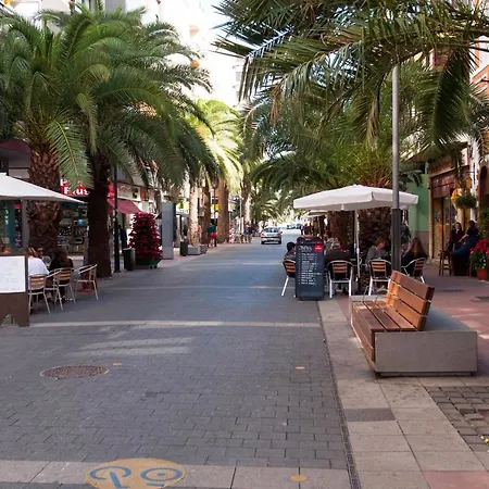 Alecto - Las Canteras