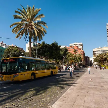 Alecto - Las Canteras *